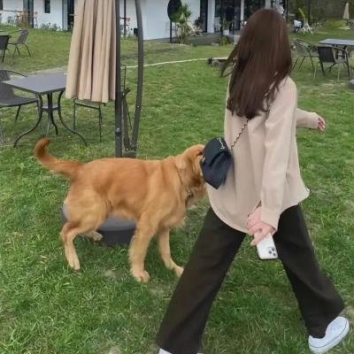 父亲的维也纳